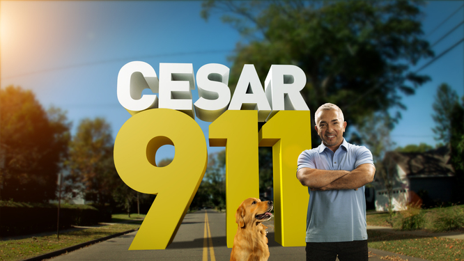 Cesar 911 = Cesar K9 (Canine) (11=K) 