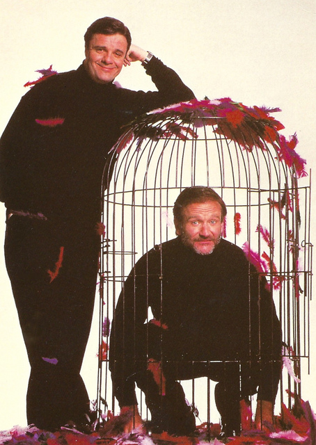 Robin in a birdcage