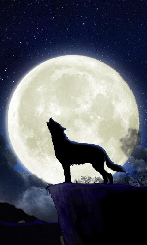 Full Wolf moon