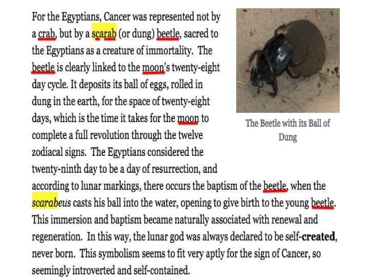scarab beetle cancer