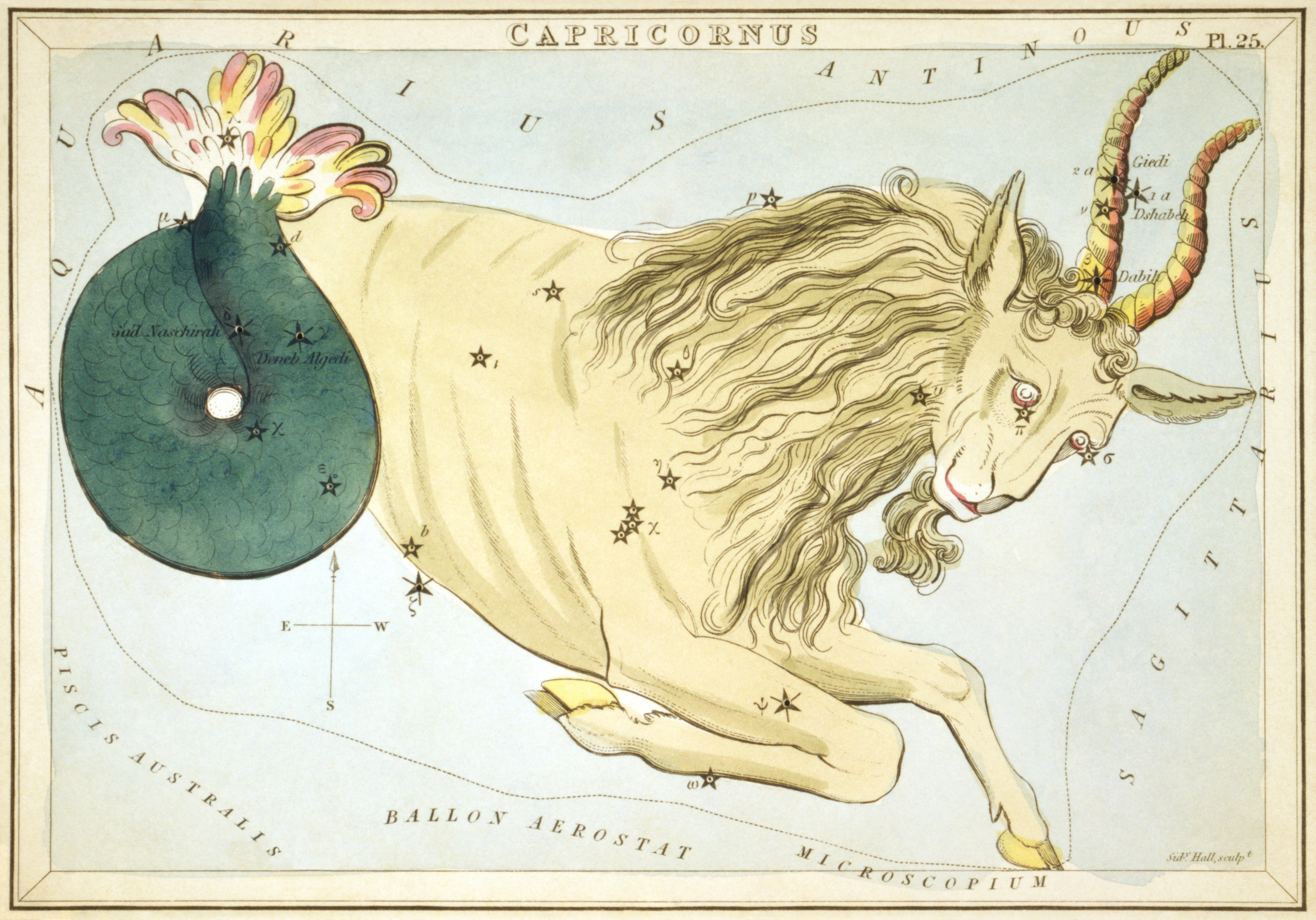 Capricornus CAPricornus is the a.k.a. the "sea-GOAT," who/witch is half-GOAT, half-fish.