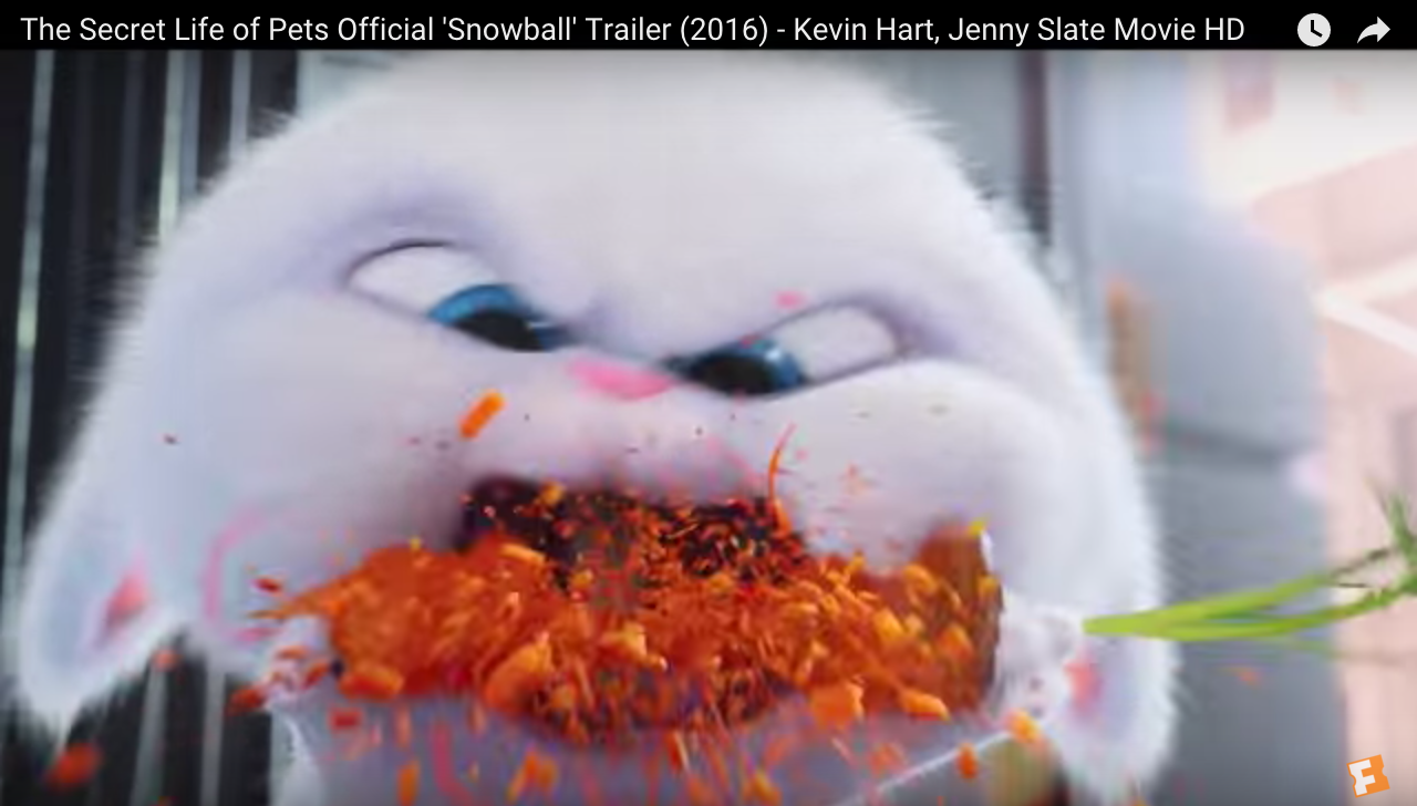 The Secret Life of Pets Kevin Hart Snowball